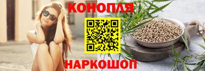 Альфа ПВП Пенза
