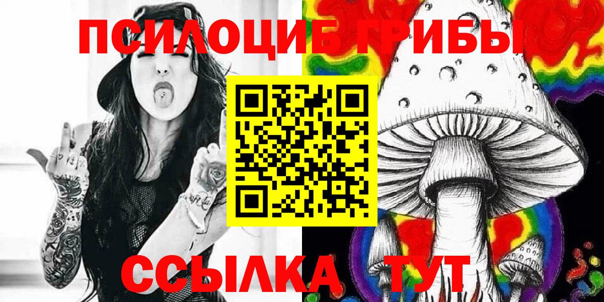 Псилоцибиновые грибы Psilocybe Сухой Лог