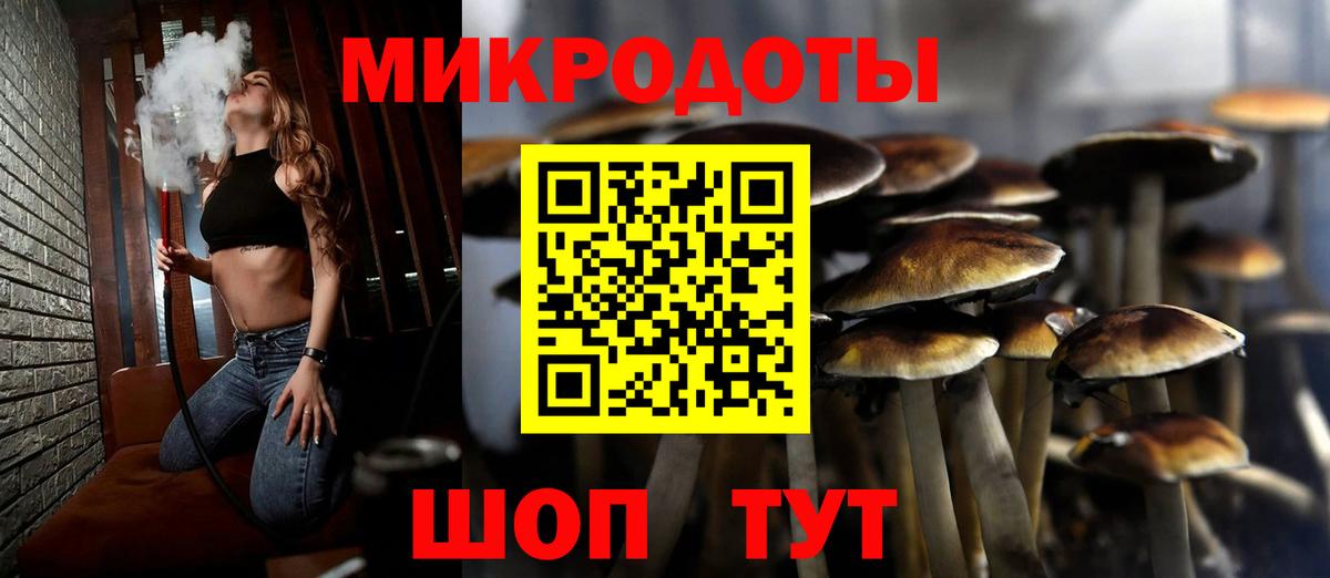 Сухой Лог  Галлюциногенные грибы Psilocybe  Вход с VPN 